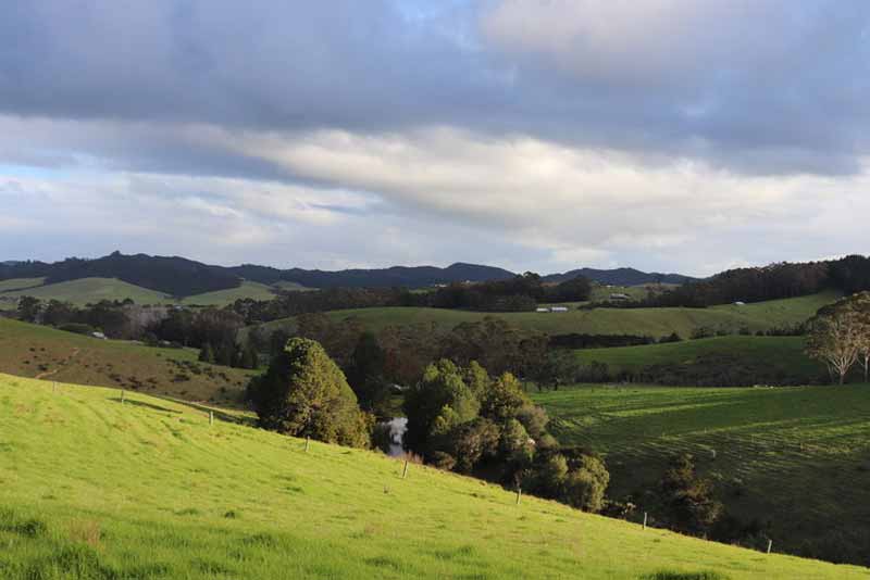 Phong cảnh đặc trưng của vùng Northland ở phía bắc New Zealand