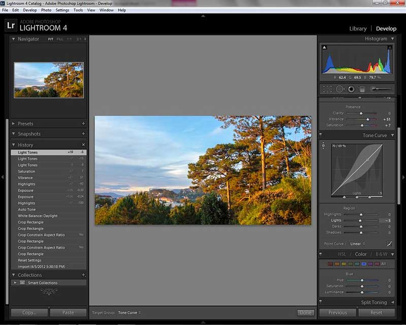 Ảnh chụp màn hình bảng điều khiển Basic (Cơ bản) trong Lightroom với các thanh trượt điều chỉnh