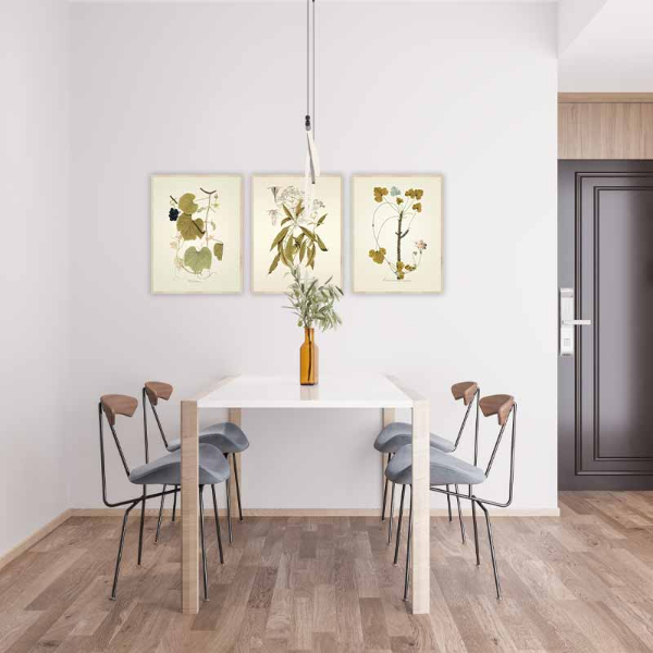Bộ 3 tấm tranh lá treo tường phòng bếp
