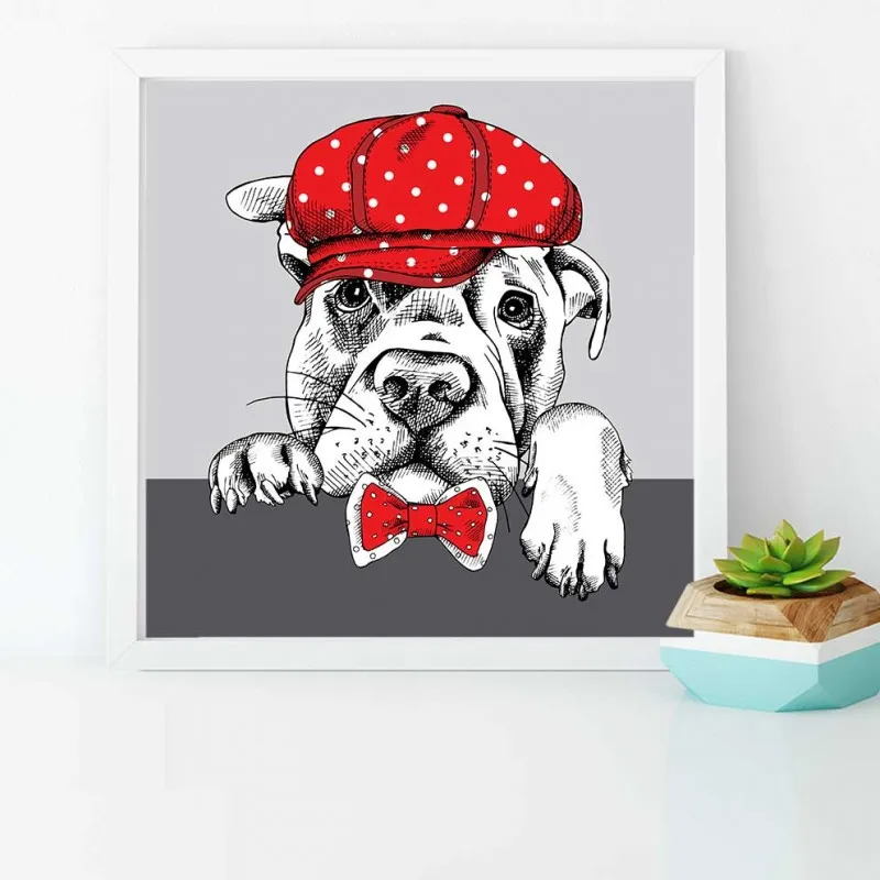 Tranh thời trang nón mũ của thú cưng