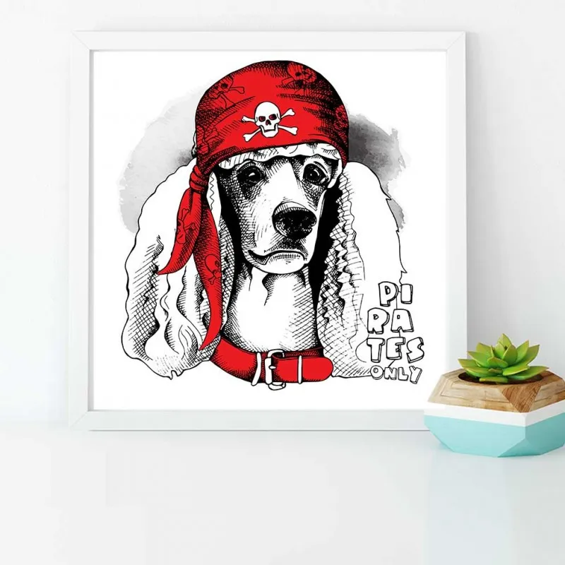 Tranh thời trang nón mũ của thú cưng