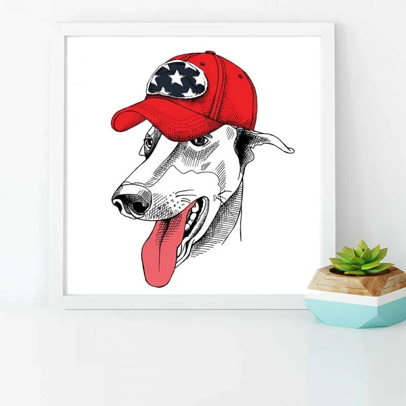 Tranh thời trang nón mũ của thú cưng