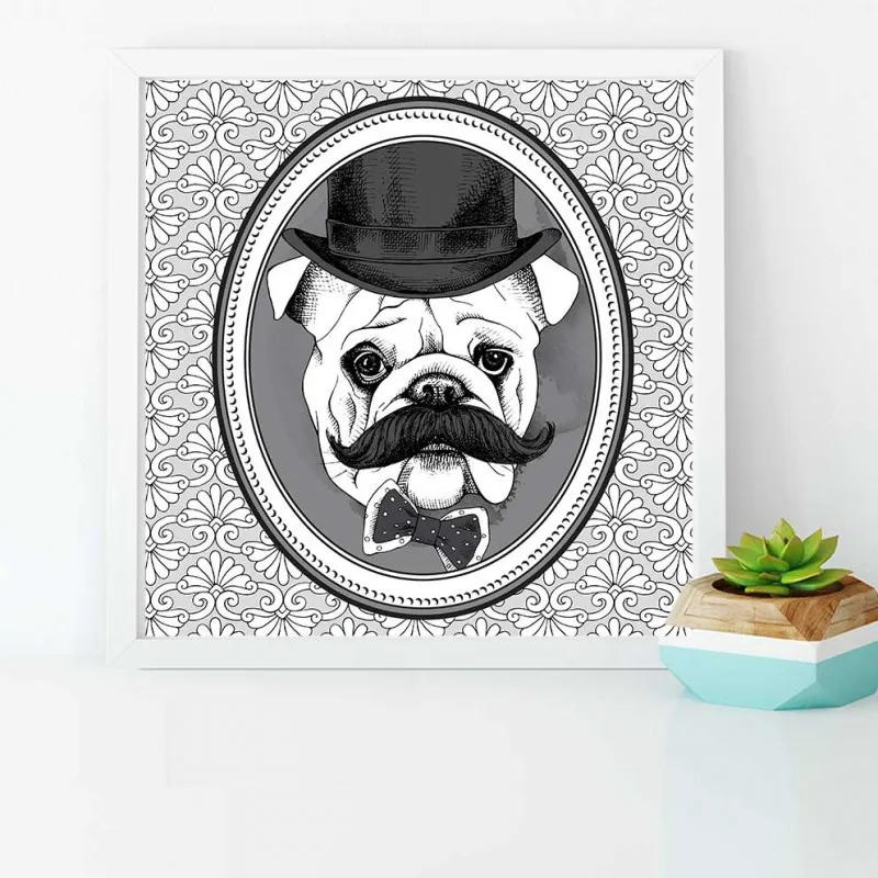 Tranh thời trang nón mũ của thú cưng