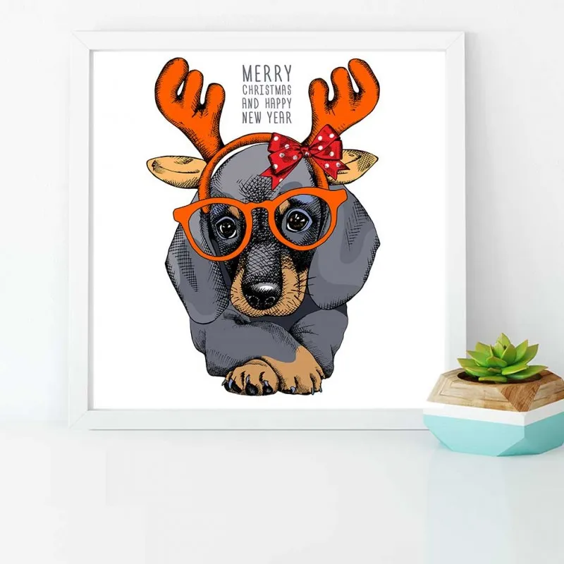 Tranh thời trang nón mũ của thú cưng