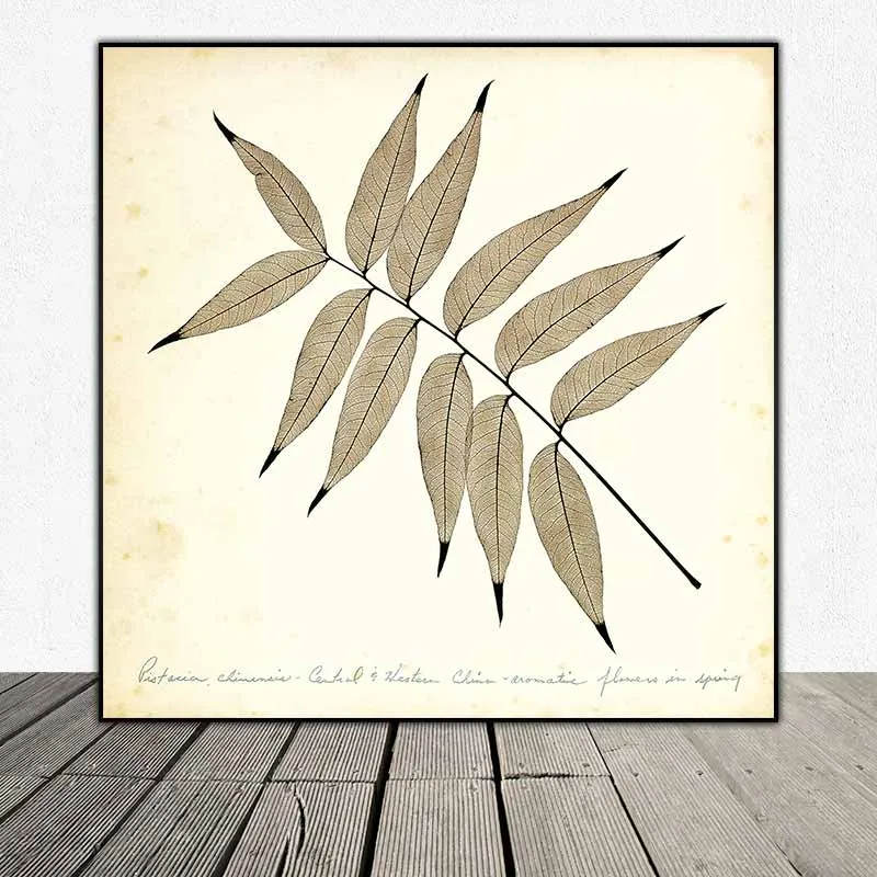 Tranh lá cây nhiệt đới tông màu xưa cũ