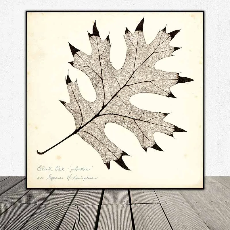 Tranh lá cây nhiệt đới tông màu xưa cũ