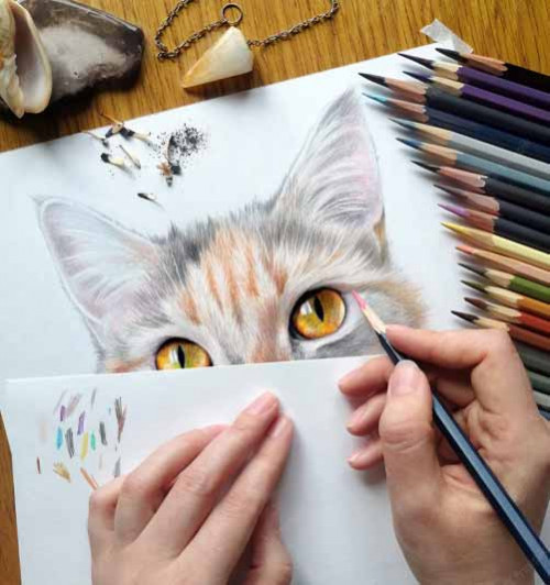 Cách vẽ động vật bằng bút chì màu