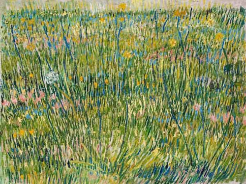 Khám phá bức tranh Đồng cỏ nở hoa của Vincent van Gogh. Một góc nhìn gần gũi