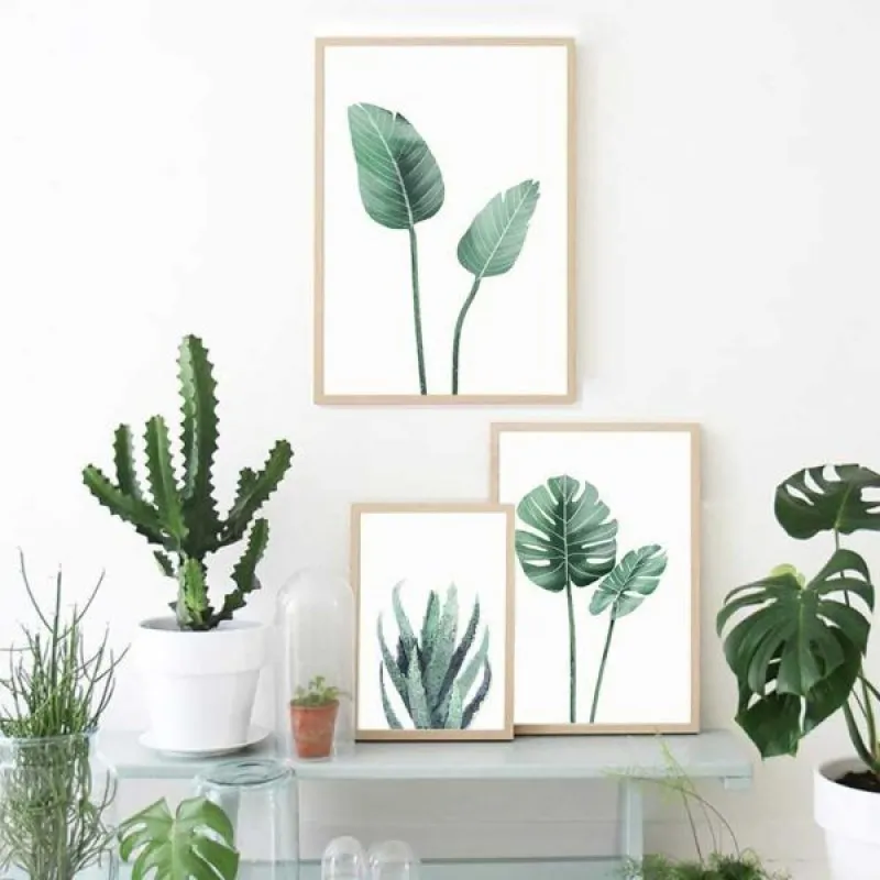 Tranh lá cây nhiệt đới lá cọ, cây xương rồng
