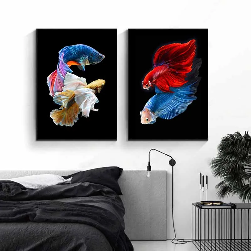 Tranh 2 con cá xiêm trống đang cạnh tranh với nhau