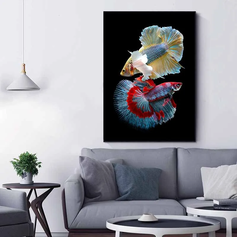 Tranh 2 con cá xiêm trống đang cạnh tranh với nhau