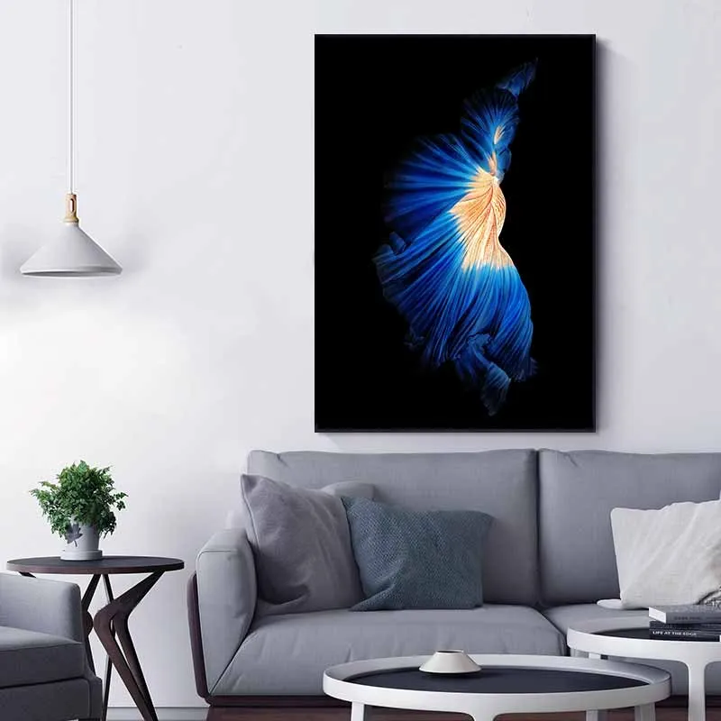 Tranh cá phướng, cá xiêm, cá chọi, cá đá, cá beta nhìn từ phía sau