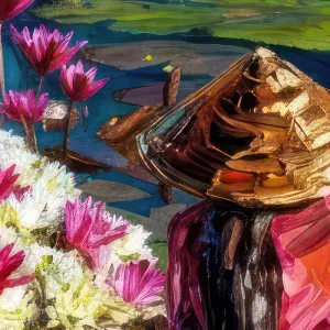 Sắc Hoa Súng Mùa Nước Nổi