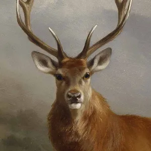 Tranh Canvas Cổ Điển: Gia Đình Hươu Đỏ - Anton Schmitz