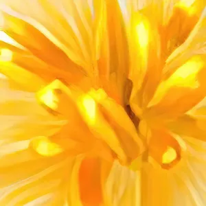 Tranh Canvas Nghệ Thuật - Nắng Ban Mai Trên Cánh Hoa Tulip