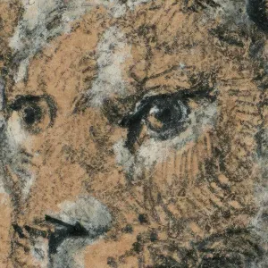Tranh Canvas Ký Họa - Sư Tử con Nghỉ Ngơi - Rembrandt