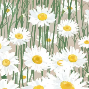 Tranh Canvas Phong Cảnh: Cánh Đồng Cúc Họa Mi Dưới Bầu Trời Xanh