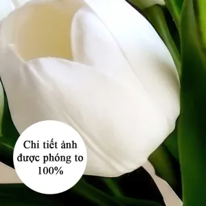 Tranh Canvas Tĩnh Vật: Hoa Tulip Trắng, Rượu Sâm Phanh Và Trái Cam Sang Trọng