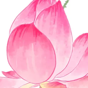 Tranh Canvas Đóa Sen Hồng Tinh Khôi