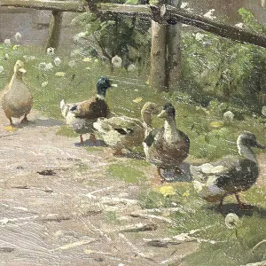 Tranh In Canvas: Phong Cảnh Đồng Quê Mùa Xuân Thanh Bình