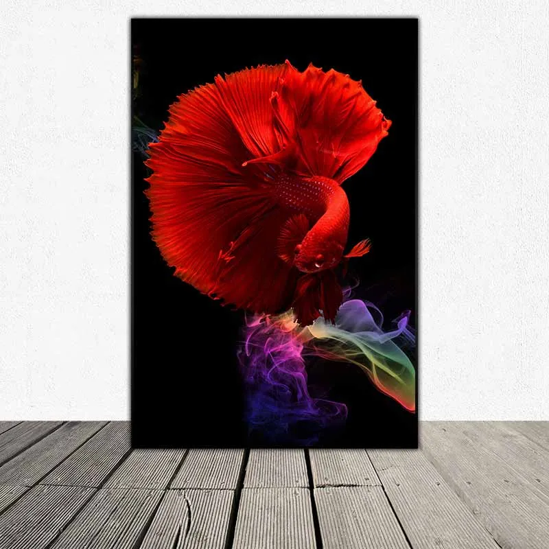 Tranh cá phướng, cá xiêm, cá đá, cá chọi, cá beta