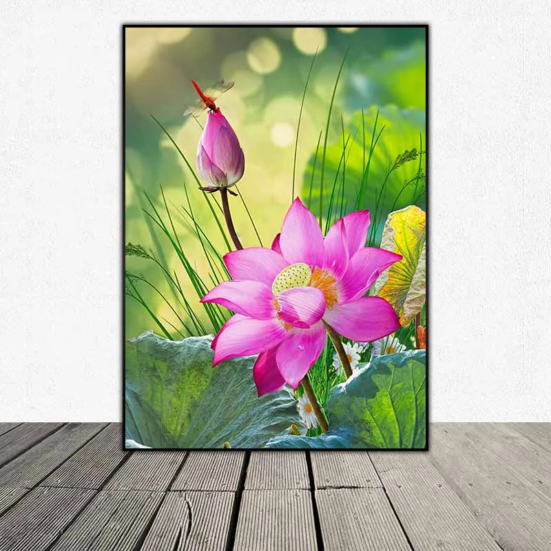 Tranh hoa sen hồng và con chuồn chuồn ớt