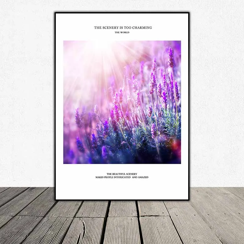 Tranh tháp chuông của Bruges, cây cầu gỗ trong công viên và cánh đồng hoa Oải Hương