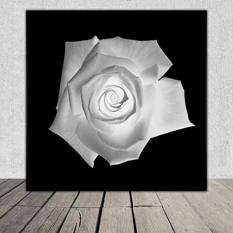 Tranh hoa hồng X Ray