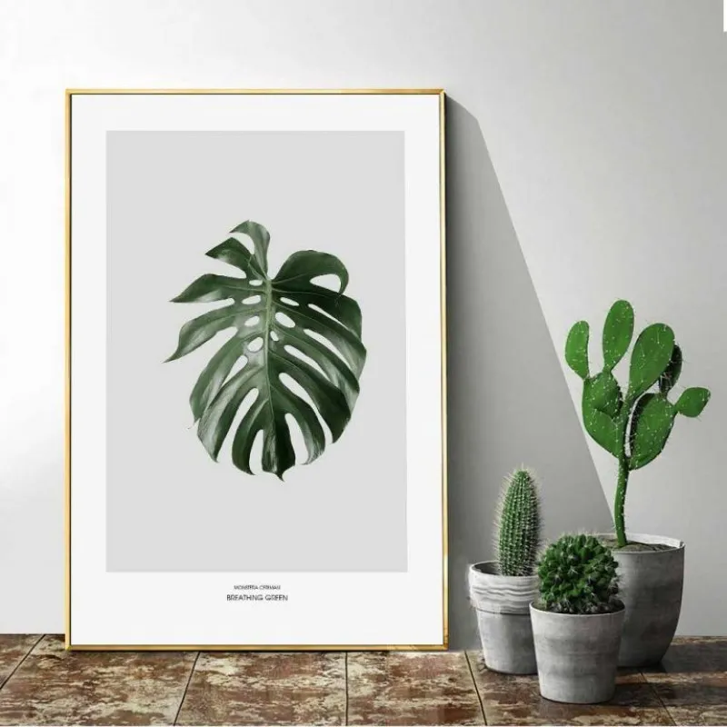 Tranh lá cây nhiệt đới xương rồng, lá trầu bà, lá dừa