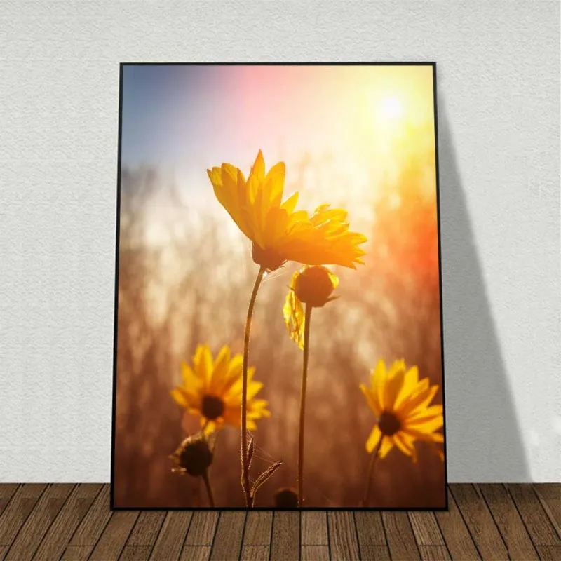 Tranh bộ hoa cúc trắng, hoa hướng dương kết hợp chữ