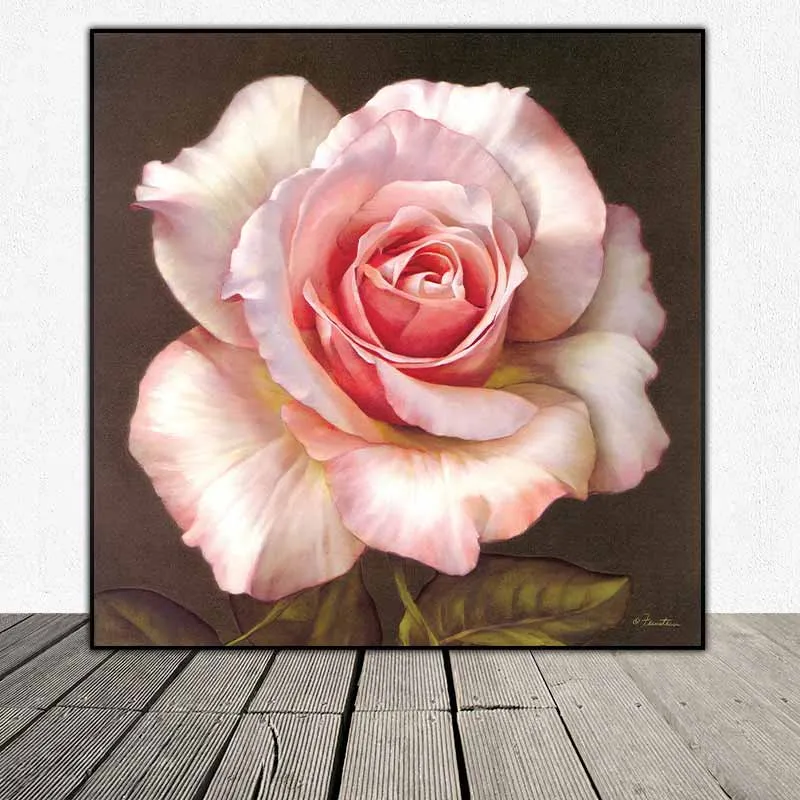 Tranh hoa hồng của họa sĩ Feinstein