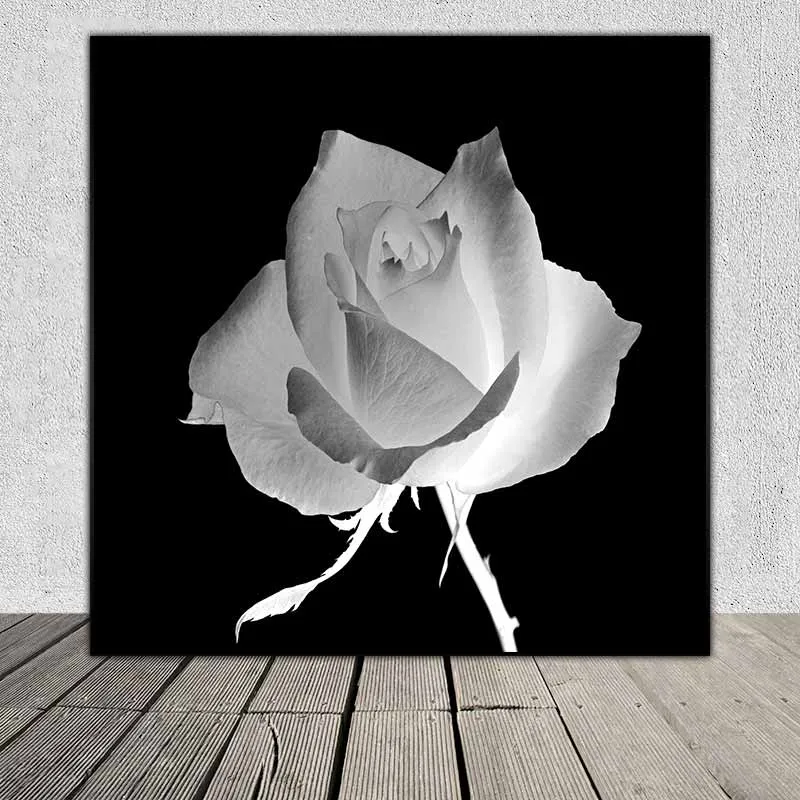 Tranh hoa hồng X Ray