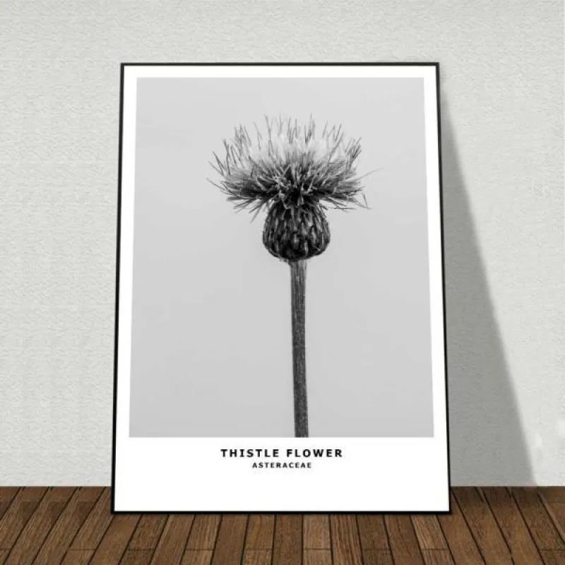 Tranh canvas Scandinavian phong cảnh biển kết hợp chữ