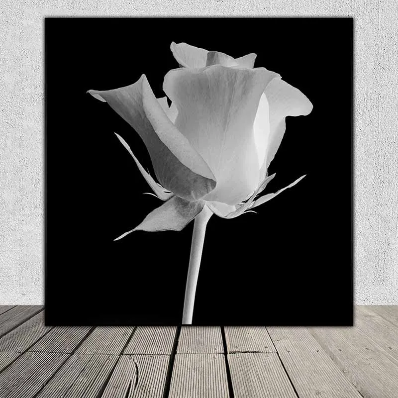 Tranh hoa hồng X Ray