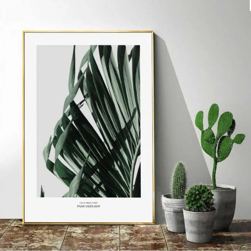 Tranh lá cây nhiệt đới xương rồng, lá trầu bà, lá dừa