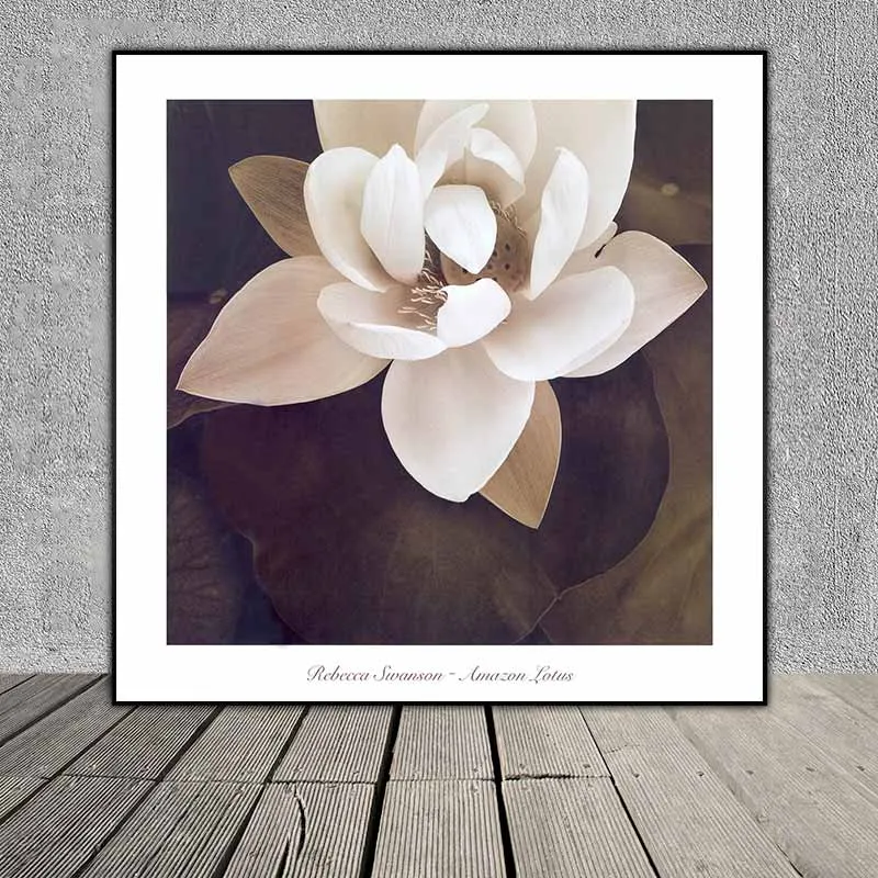 Tranh hoa sen trắng khổ vuông theo phong cách cổ điển