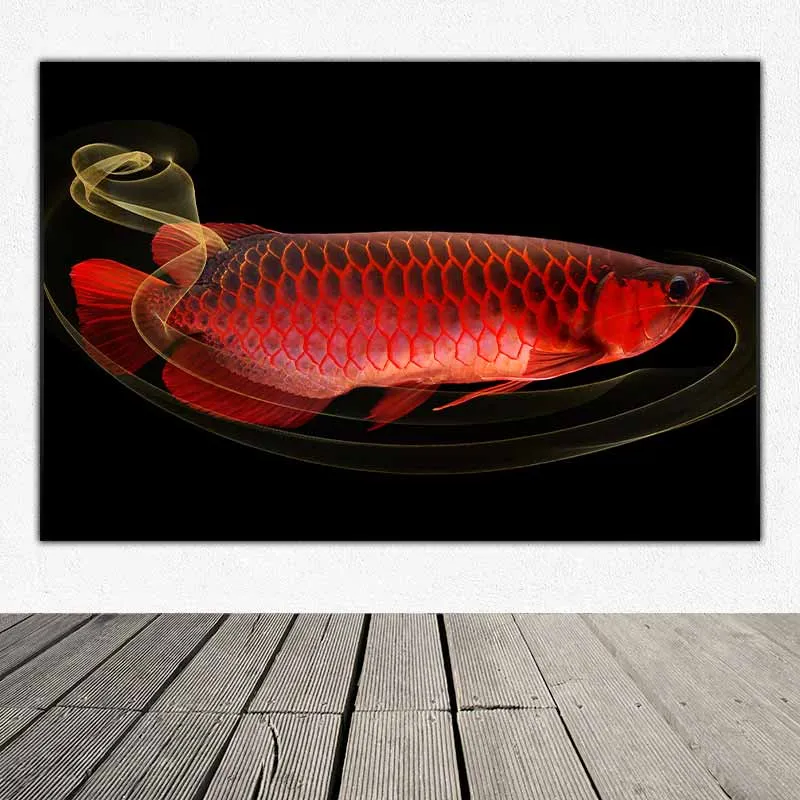 Tranh Phong thủy cá rồng Huyết Long và kim long