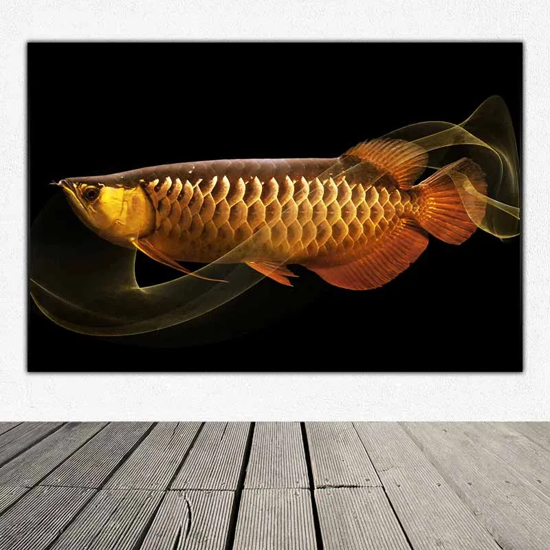 Tranh Phong thủy cá rồng Huyết Long và kim long