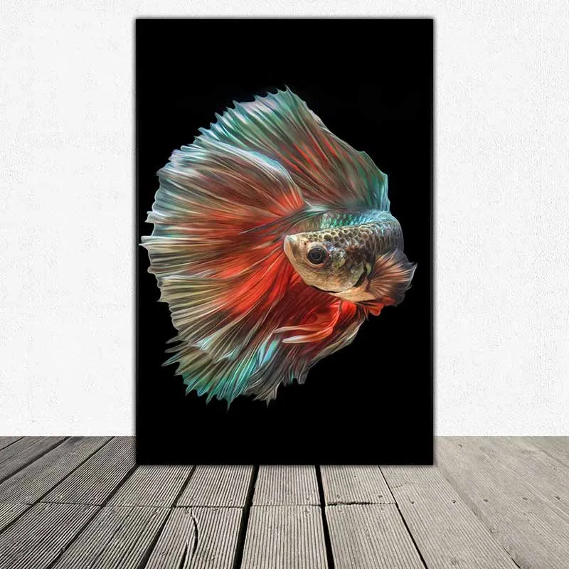 Tranh cá phướng, cá xiêm, cá đá, cá chọi, cá beta