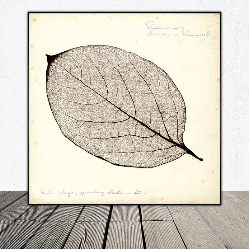 Tranh lá cây nhiệt đới tông màu xưa cũ