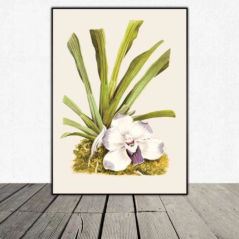 Trang Trí Nhà Cửa Với 6 Tranh Canvas Hoa Lan