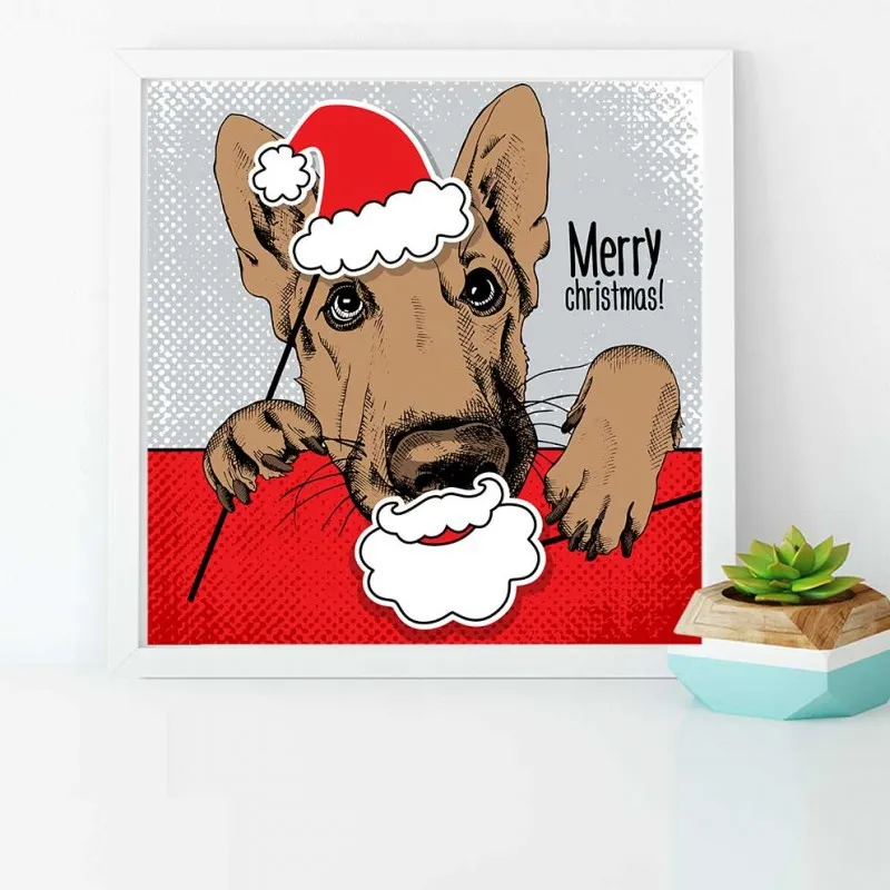 Tranh thời trang nón mũ của thú cưng