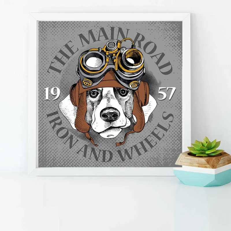 Tranh thời trang nón mũ của thú cưng