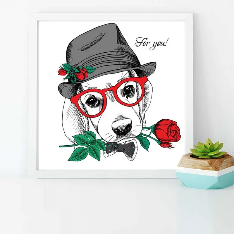 Tranh thời trang nón mũ của thú cưng