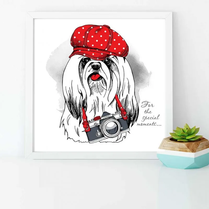 Tranh thời trang nón mũ của thú cưng