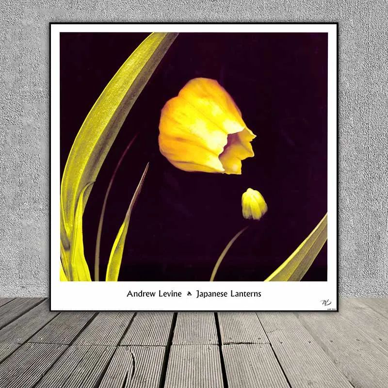 Tranh hoa hương đậu trắng, hoa sen đá và hoa lồng đèn Nhật Bản