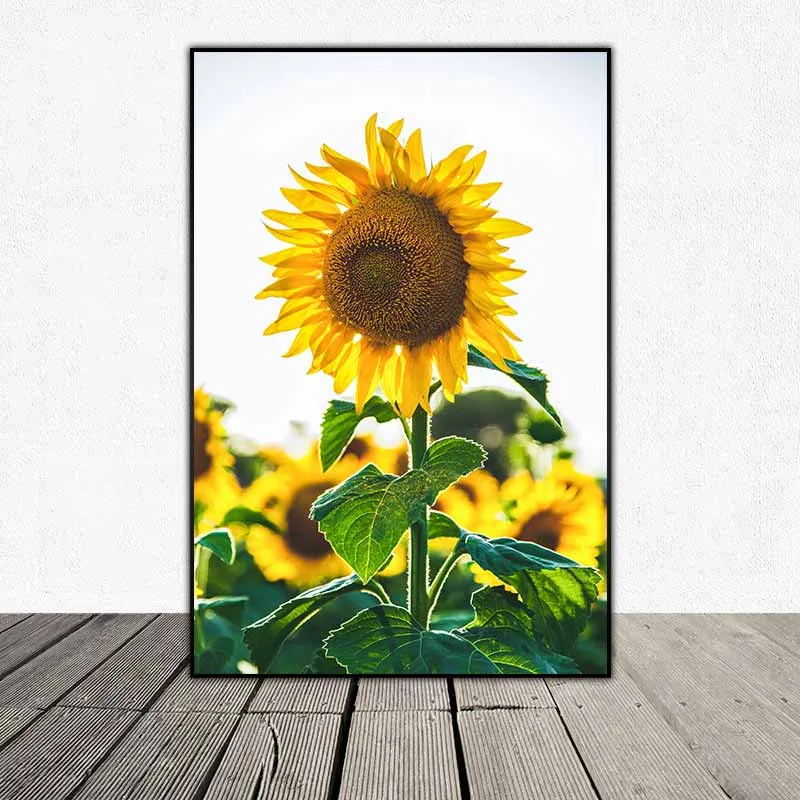 Tranh bộ hoa sắc vàng, hoa hướng dương