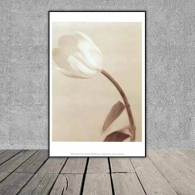 Tranh Retro hoa Tulip trắng, bức tranh hoa theo phong cách Vintage