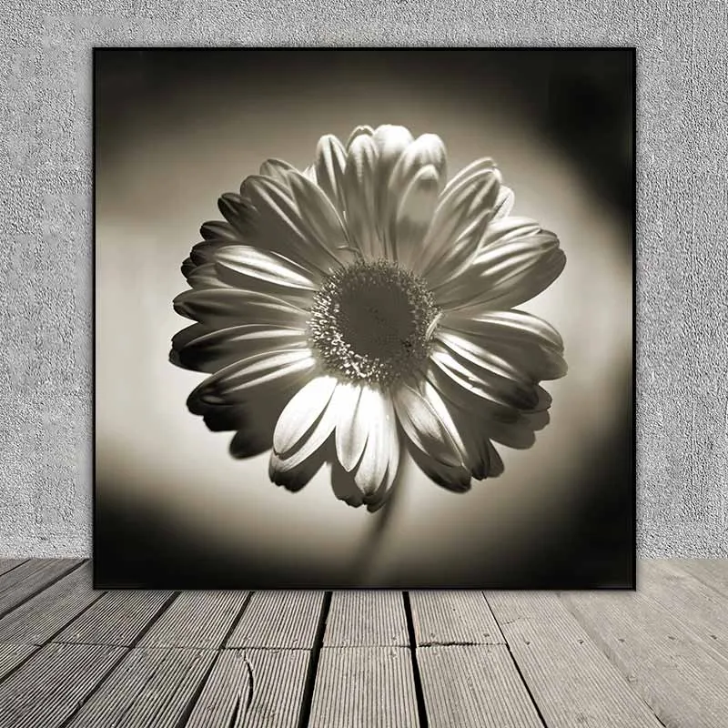 Tranh hoa cúc đen trắng