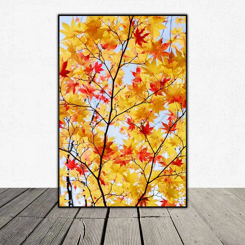 Tranh bộ hoa sắc vàng, hoa hướng dương